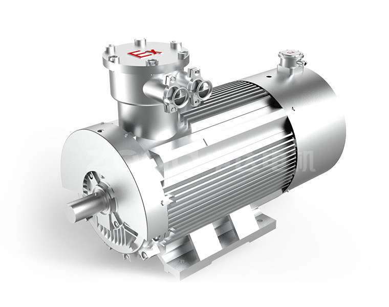 YBBP隔爆型變頻調(diào)速三相異步電動機